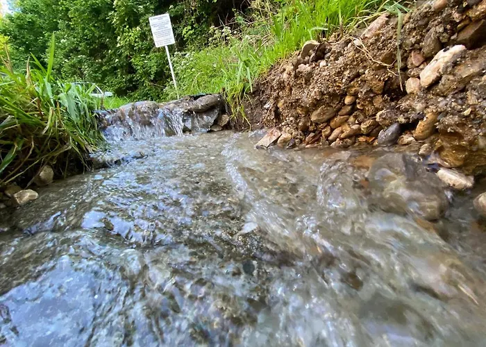 Forest 41 Apartamento Braşov